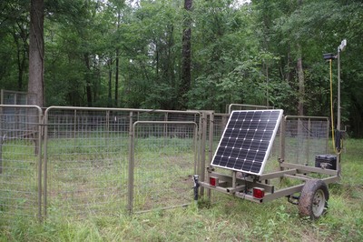 Feral hog trap photo