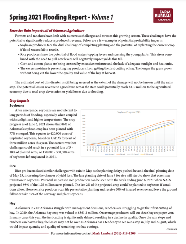 Flood impact report image and link