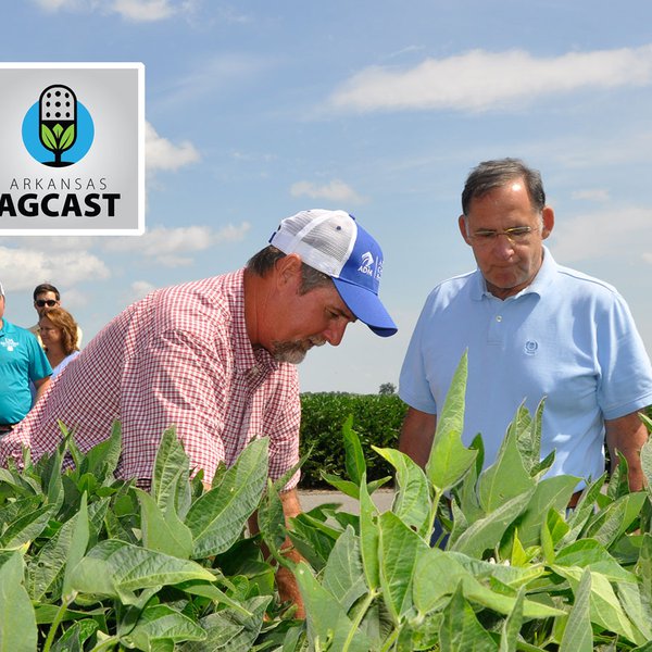 AgCast for Sept. 3