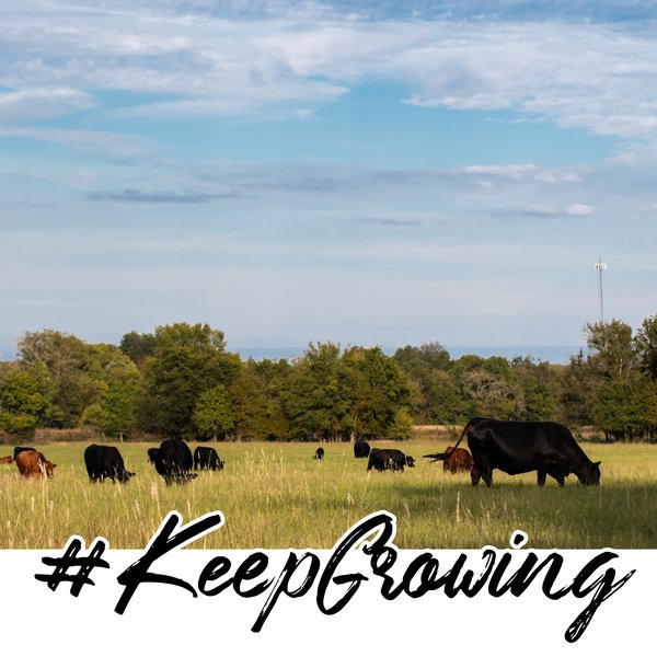 #KeepGrowing: More Reports from the Field