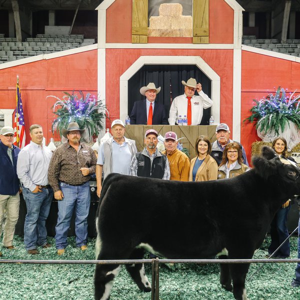 2023 Arkansas State Fair Sale of Champions