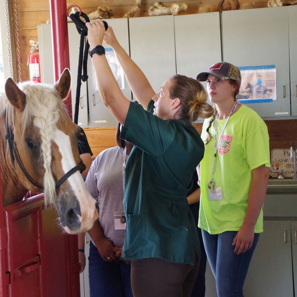 PODCAST: Seeking Future Vets at 4H Vet Science Camp