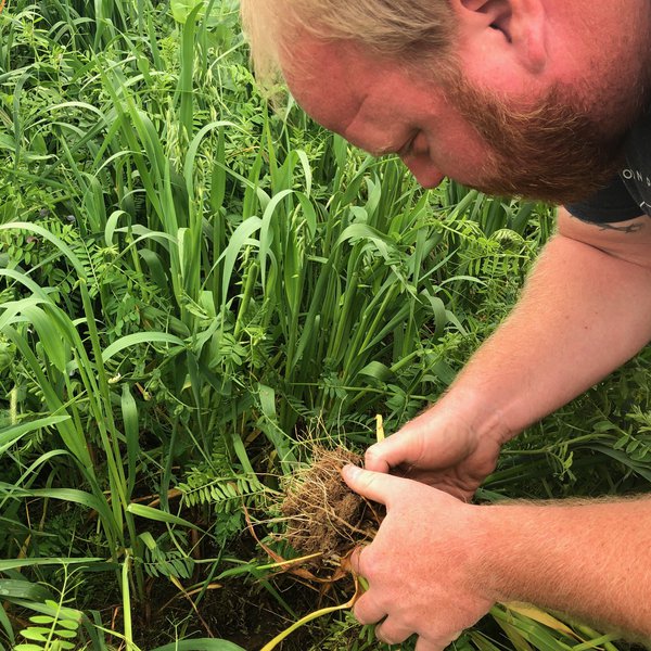 AgCast: Adam Chappell Talks No-Till Farming & Cover Crops