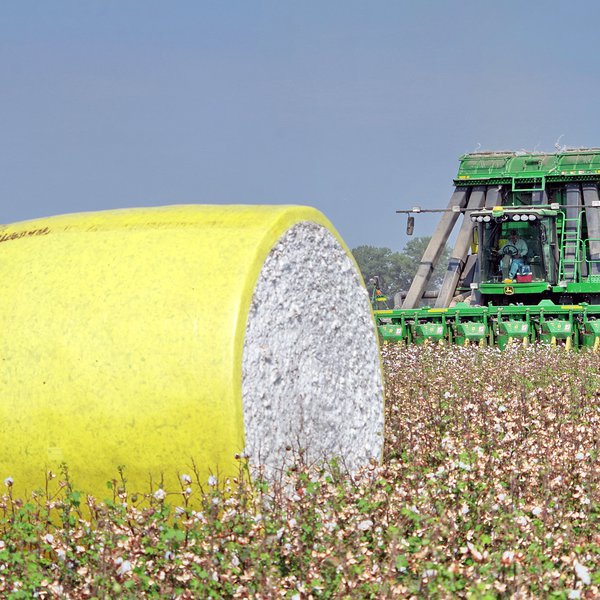 AGCAST: Key Cotton Updates