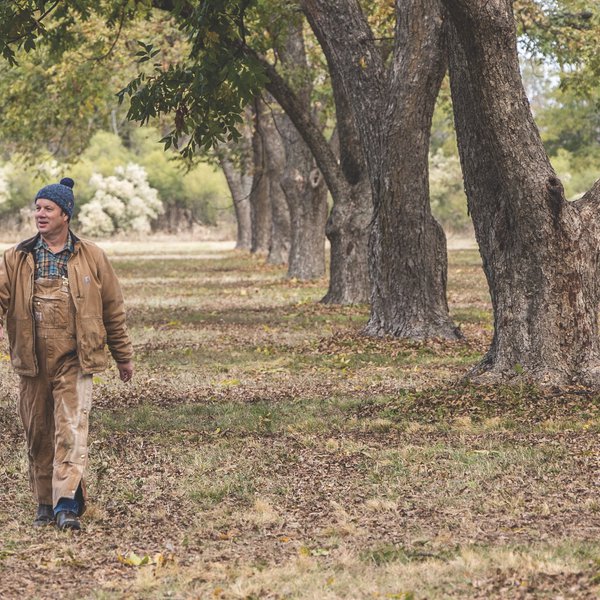 Keo Pecan Farm