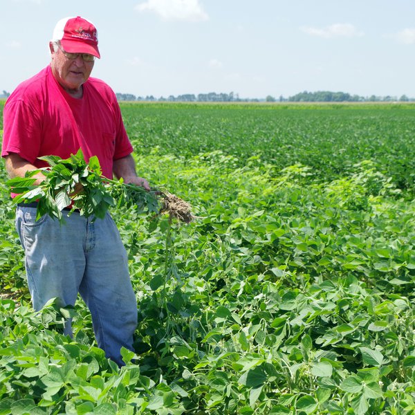 Carroll Elected Vice Chair of United Soybean Board