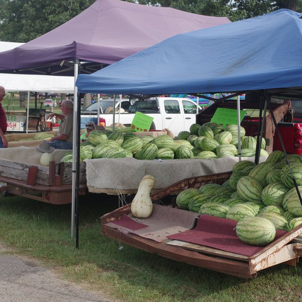 AGCAST & VIDEO: A Family Watermelon Tradition