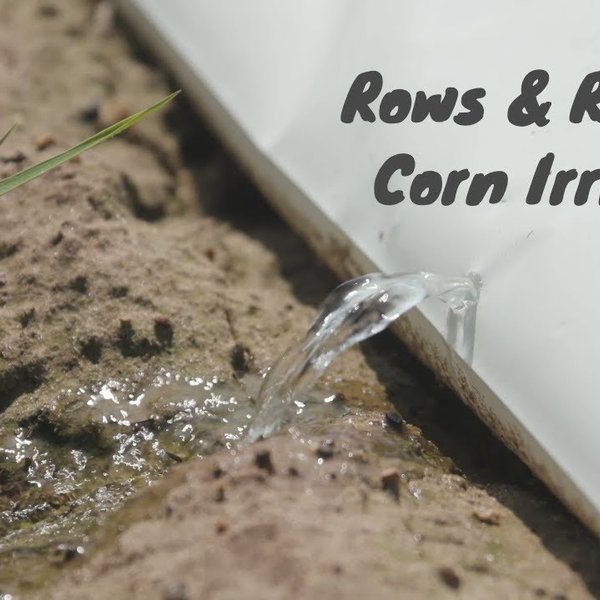 Rows and Ranches | Smith Family | Corn Irrigation