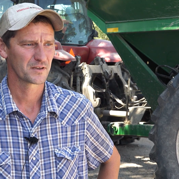 Prairie County Farmer's Rice Crop Strong Despite Rainy Spring