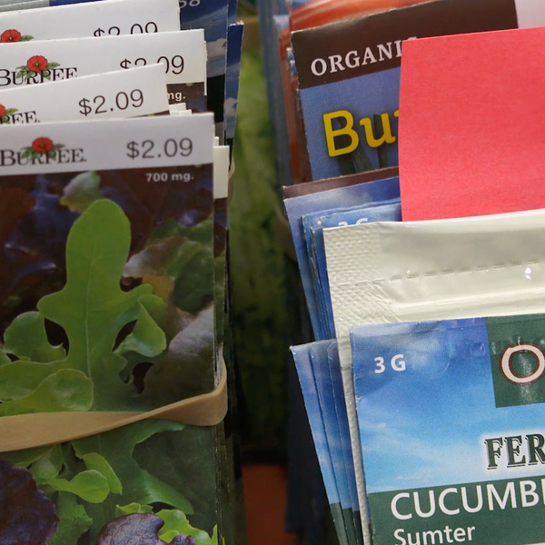 Checking Out a Seed Library