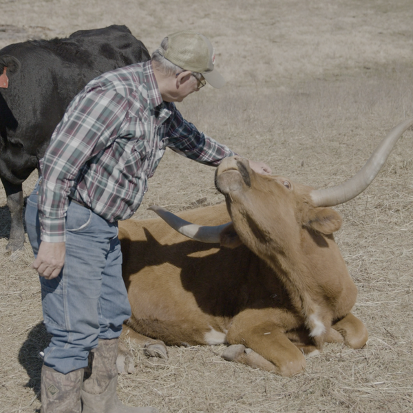 Farmer Profile | Jerry Shannon, Mountain View