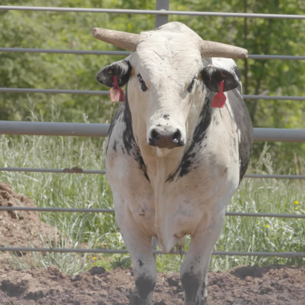 Farmer Profile | Ogden Ranch