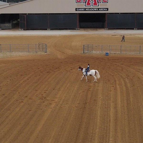 ASU Vet School