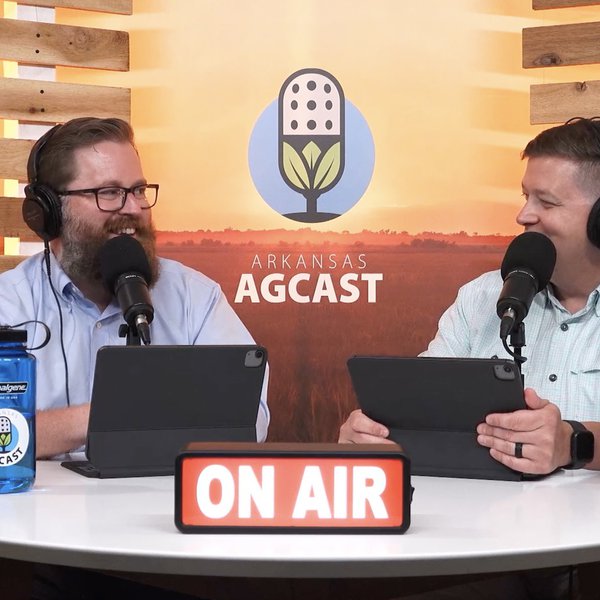 Arkansas AgCast | India Rice Ban, U.S. Cattle Inventory & Watermelons