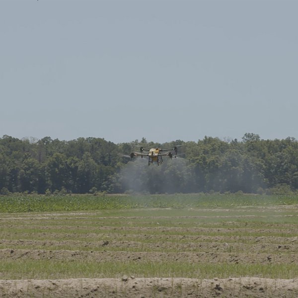 Farming From the Air: Utilizing Drone Technology