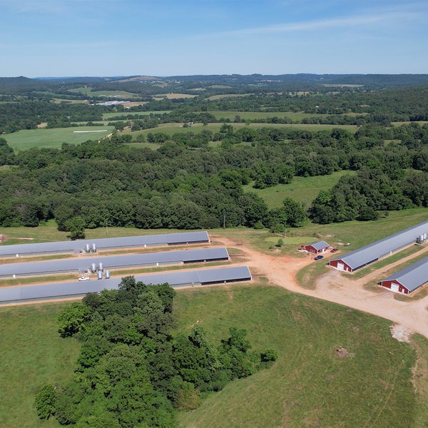 Several North Arkansas Poultry Producers Receive Surprise Renewals