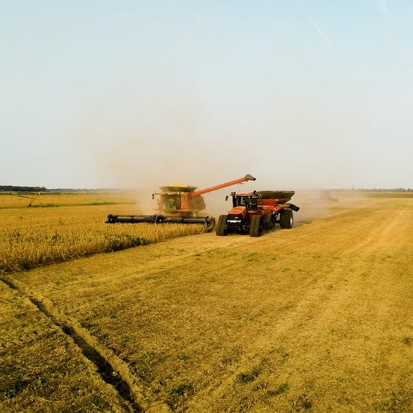 Harvest Update | Hurricane Francine