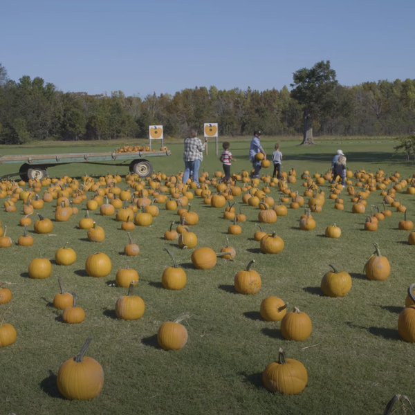 Peebles Farm: Celebrating 20 years