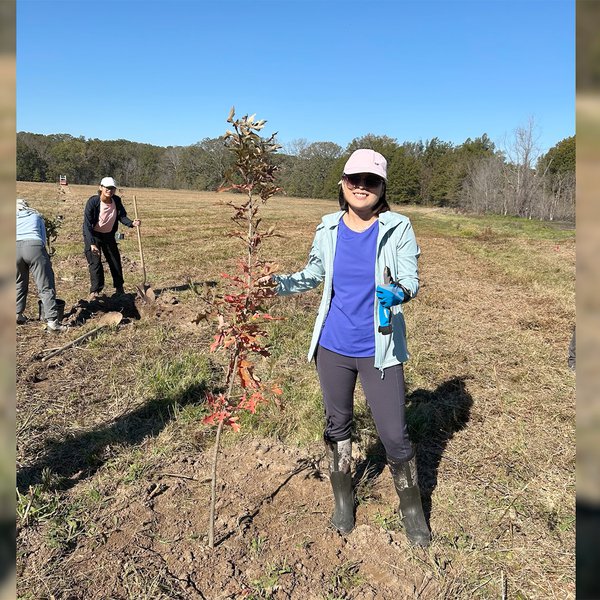 USDA Grant Allows Restoration of Hardwood Forests