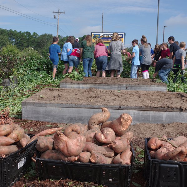 School Garden Project Honored