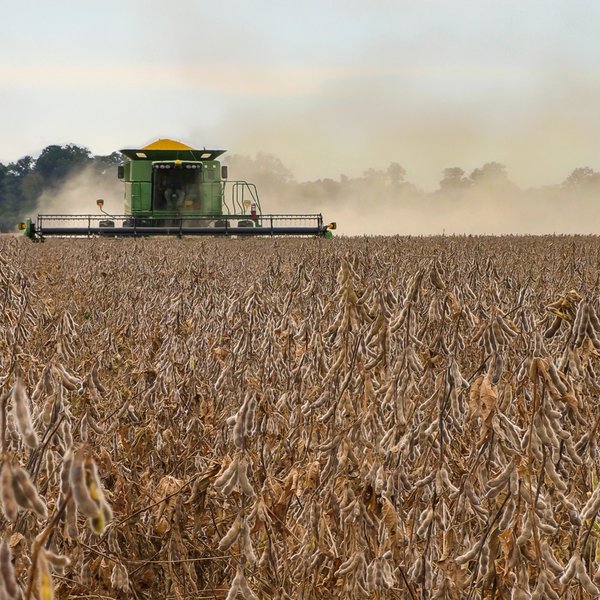 2023 Soybean Harvest Update