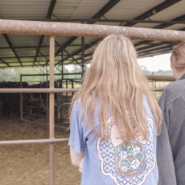 Turkey Creek Company Water Buffalo | Farm Field Day