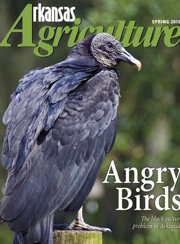 Arkansas Agriculture Magazine - Spring 2018